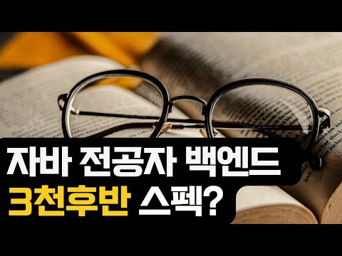 자바 전공자 백엔드 3천 후반 스펙