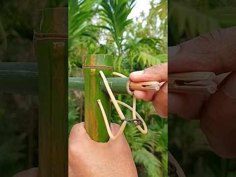 Wonderful Craft With bamboo #DIY #Bamboo #Slingshots