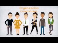 Estructura Organizacional