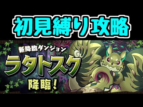 【生放送】ラタトスク降臨を初見縛り攻略して遊ぼう！【パズドラ】