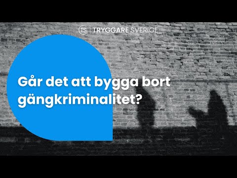 Går det att bygga bort gängkriminalitet? – Almedalsveckan 2025