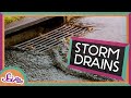 Storm Drain Pollution Awareness