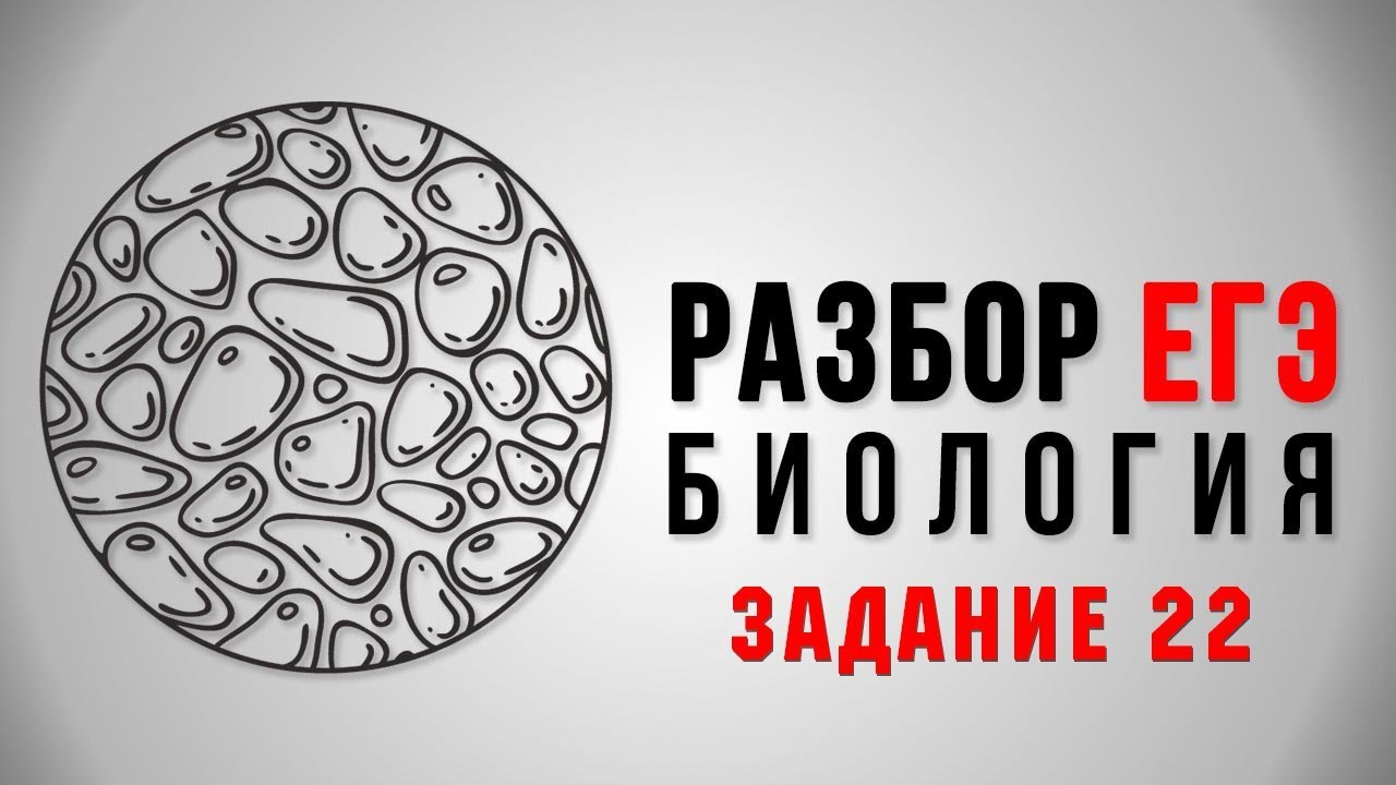 Готовимся к ЕГЭ по биологии. Задание 22 — Группа компаний «Просвещение»