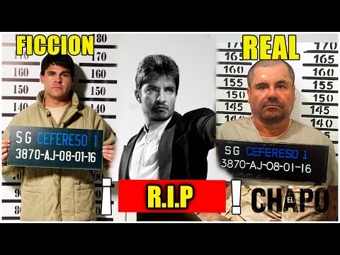 Real vs Ficción (Quién es quién) Serie EL CHAPO y Curiosidades