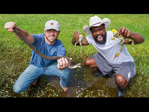 Catch & Cook CottonMouth Snakes & BullFrogs *Dangerous*