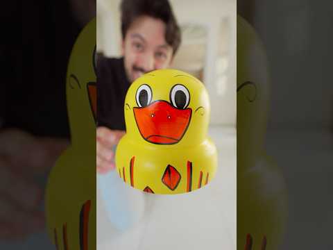 SON UN MONTÓN! 🐥😂