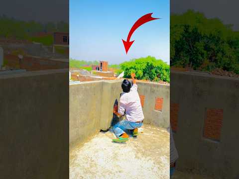 #shortvideo आज बाहर का कबूतर पकड़ लिया 🕊️#pigeon #pigeonlaver and subscribe 🙏 xr kabootar 🕊️