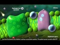 Exploring Photosynthesis: Light Reactions and Calvin Cycle
