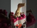 Identifying Dinosaurs and Video Content