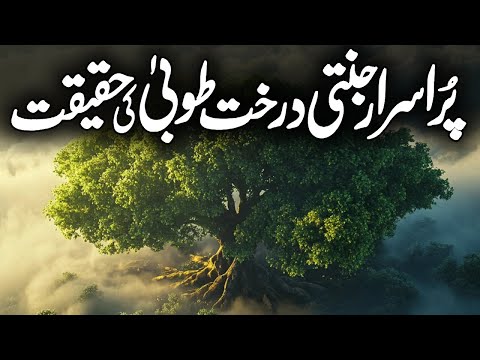 Purisrar Jannati Darakht Tooba Ke Haqaiq | Jannat Mein Darakht Lagana | Tuba Tree | Meezan