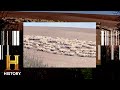 Sheep Circles and Crop Circle Mysteries