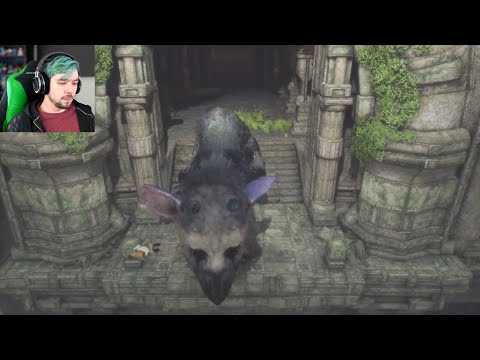 The Funniest Game Death