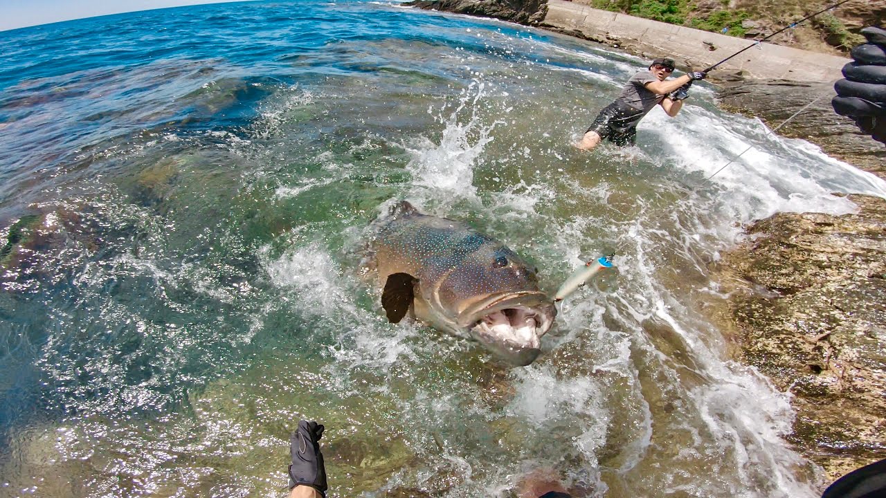 How did this fish get so big and how did I catch it! - Cavy Fishing