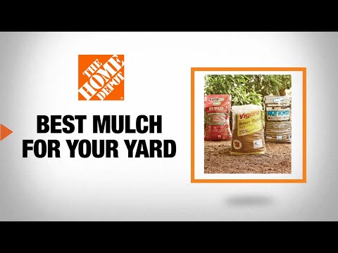 Best Mulch for Your Yard