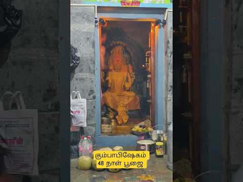 மாரியம்மன் கோவில் கும்பாபிஷேகம் 48வது நாள் பூஜை