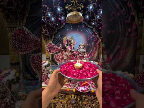 Radhakrishna status 🪔🌺#radhakrishna #radheshyam #virdavan #treanding #ytshorts