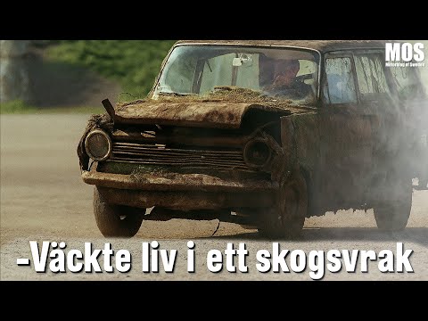 Hampus rullande skogsvrak