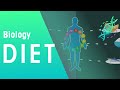 Nutrition and Health Concepts