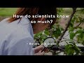 Curiosity in Science and Discovery