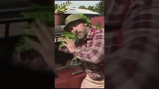 Handyman Builds a Greenhouse in His Car