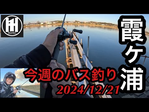 バス釣り今週の霞ヶ浦2024年12月21日