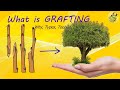 Grafting Techniques and Concepts