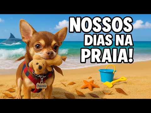 NOSSOS DIAS NA PRAIA DE UBATUBA - VLOG DA SEMANA!