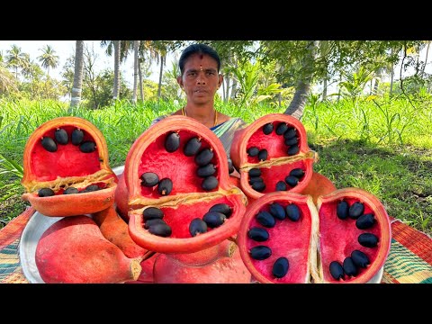 WILD ALMOND CURRY RECIPE l WILD BADAM l Village Style Cokling Foods l VILLAGE MOM RECIPE