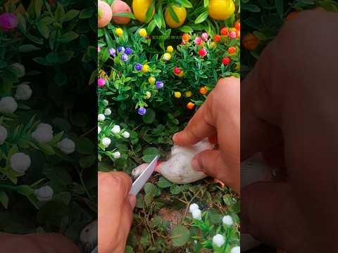 POTONG BEBEK ANGSA‼️ WADIDAU PROSES POTONG SAPI‼️MANUSIA KARDUS #sapi #bebek #shorts