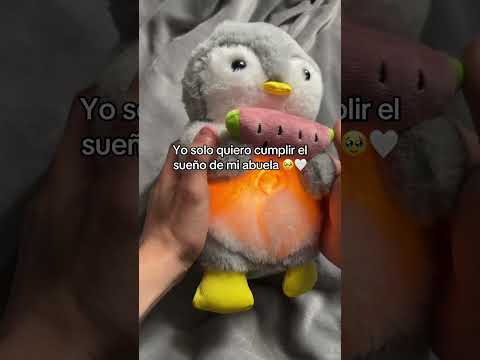 Yo solo quiero ayudar a mi abuela a cumplir su sueño 🥹🤍 #peluches #abuela #regalos