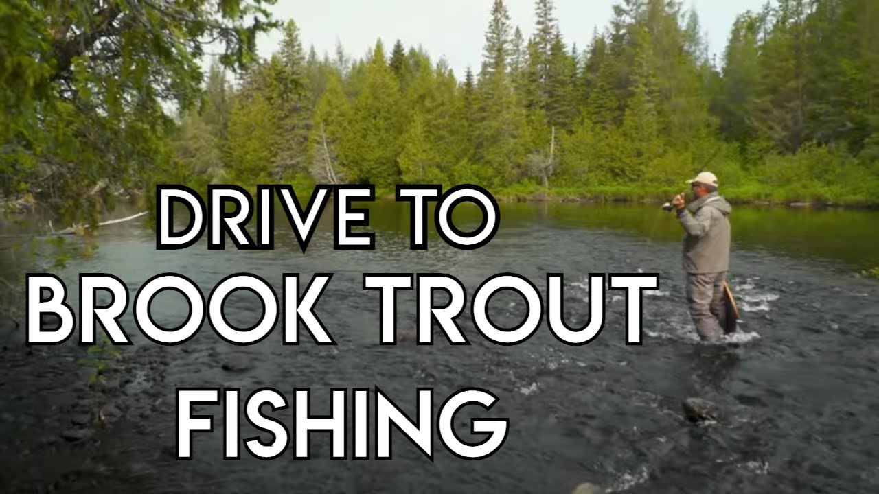 Drive -To Brook Trout Fishing - The New Fly Fisher