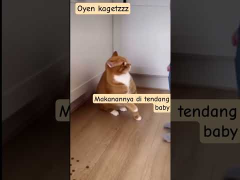 Oyen kagetzzz, makanannya ditendang baby