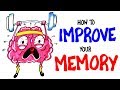 Memory Improvement and Nutrition