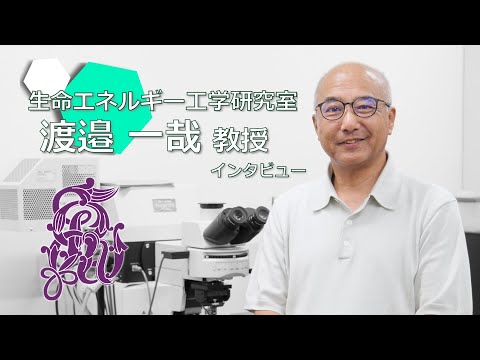 【教員にインタビュー！】＃02 渡邉一哉教授（生命科学部）インタビュー