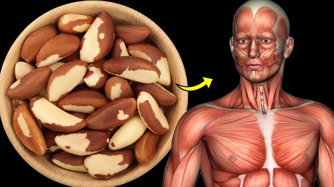 What Happens To Your Body When You Eat 1 Brazil Nut Every Day