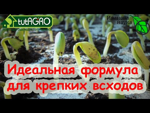 Взойдут семена щеткой! Уникальная новая формула будильника даже для старых и дорогих семян!