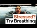 Understanding Stress and Breathing Techniques