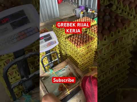 Rijal fokus kerja malah diganggu