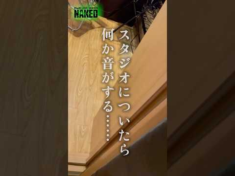 【裏側】Vsingerの2DAYSライブに密着!!!#MaiRネイキッド 編! #MaiR #vlog #shorts