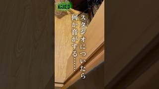 【裏側】Vsingerの2DAYSライブに密着！！！#MaiRネイキッド 編！ #MaiR #vlog #shorts