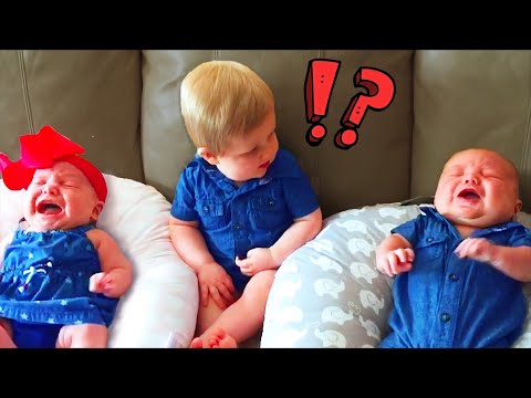 Baby With Siblings Moments Hysterically Compilation - Funny Babies Video || Cool Peachy🍑