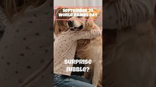 September 28 World Rabies Day