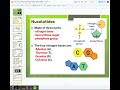 Exploring DNA Structure and Function
