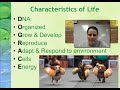 Exploring the Characteristics of Life