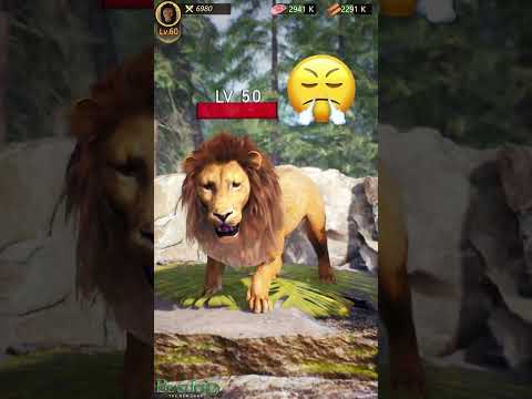 Lion Cub's Wild Adventure: From Survival to King #lion #hippo  #animals #games