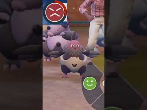 thumbnail_NsAy7fnT_4I