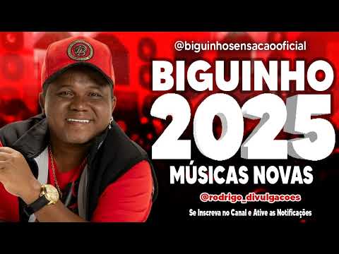 BIGUINHO SENSAÇÃO 2025 - MÚSICAS NOVAS - EP 2025