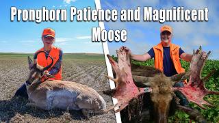 Pronghorn Patience and Magnificent Moose | S6 E12