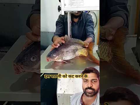 30 सेकंड में कट करके दिखा दिया 😯 #fish #fishcutting #cuttingskills #bigfish #turtlewatching