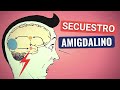 Comprendiendo la Amígdala y el Secuestro Emocional
